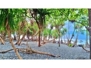 Pesona Pantai Cempaka Ratu Sukabumi Surga Tersembunyi Yang Menyatu pesona-pantai-cempaka-ratu-sukabumi-surga-tersembunyi-yang-menyatu